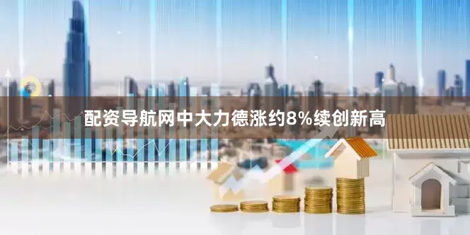 配资导航网中大力德涨约8%续创新高