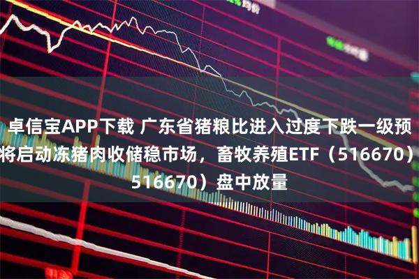 卓信宝APP下载 广东省猪粮比进入过度下跌一级预警区间,将启动冻猪肉收储稳市场,畜牧养殖ETF(516670)盘中放量