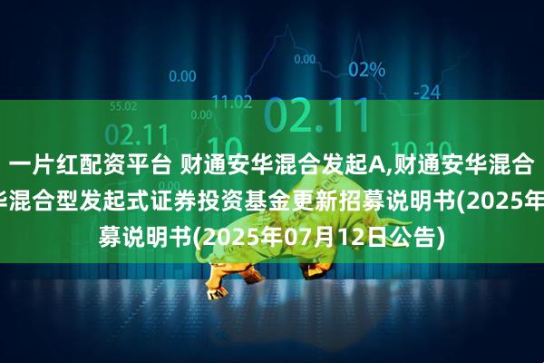 一片红配资平台 财通安华混合发起A,财通安华混合发起C: 财通安华混合型发起式证券投资基金更新招募说明书(2025年07月12日公告)