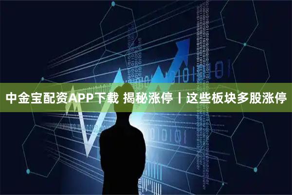 中金宝配资APP下载 揭秘涨停丨这些板块多股涨停